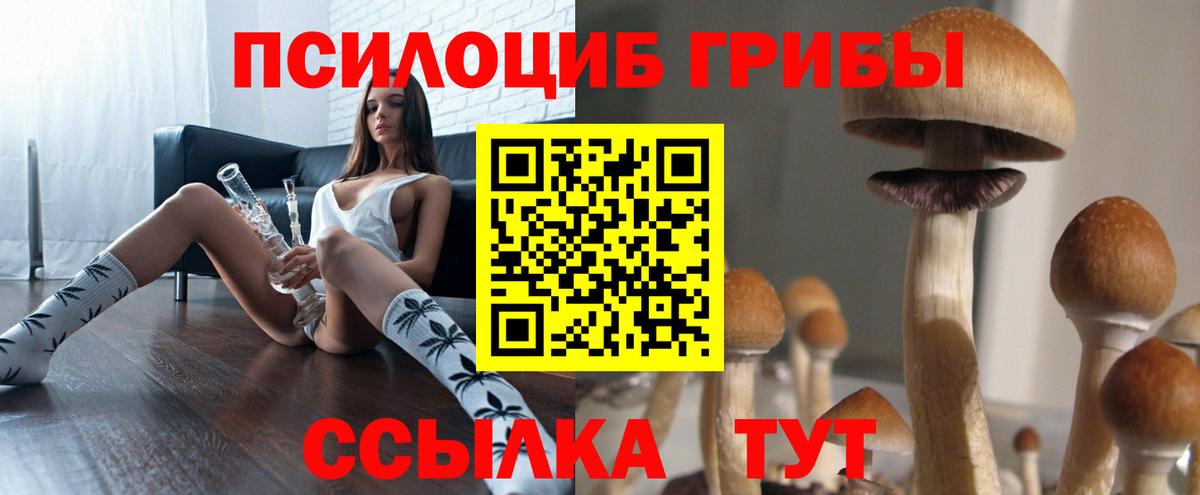 Псилоцибиновые грибы MAGIC MUSHROOMS  Вход с VPN  Алапаевск 